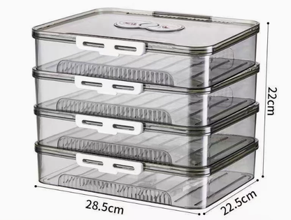 Transparent Dumpling Storage Box